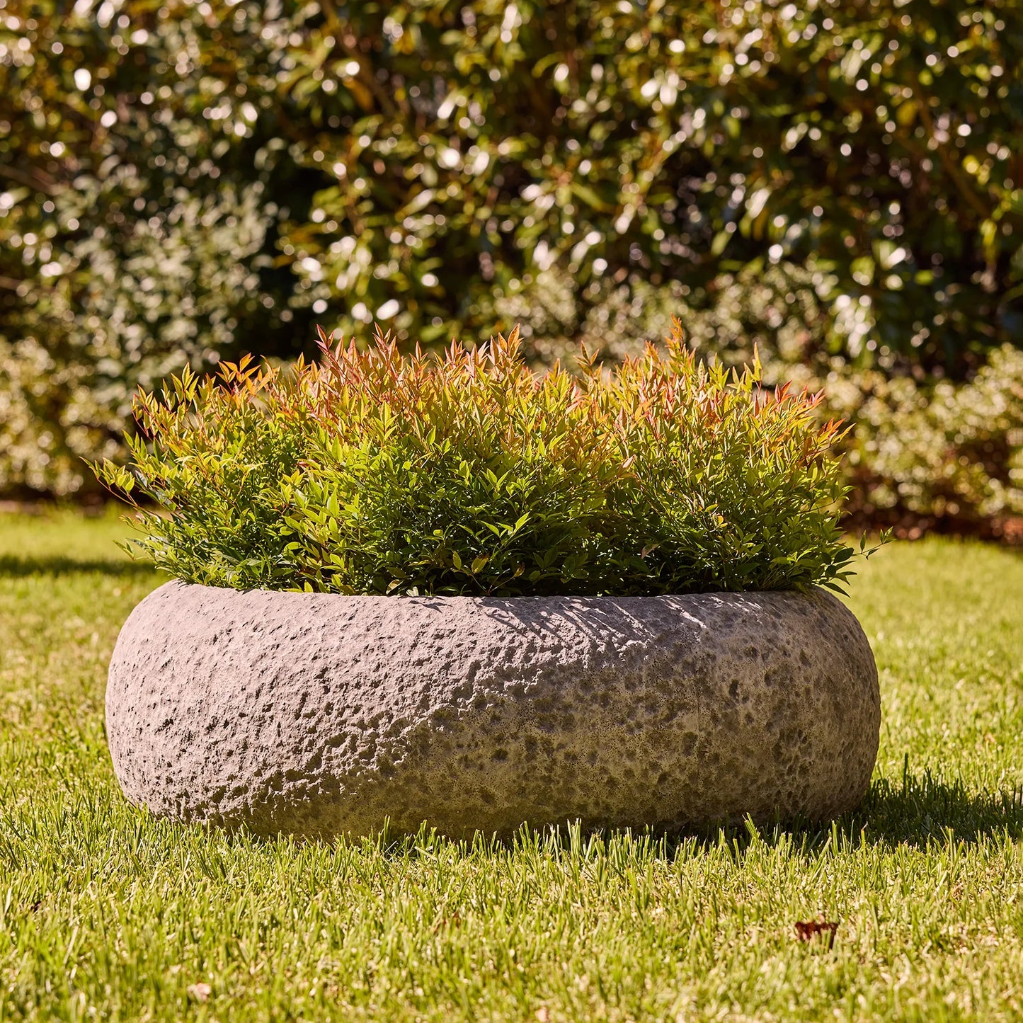 Cinder Low Bowl