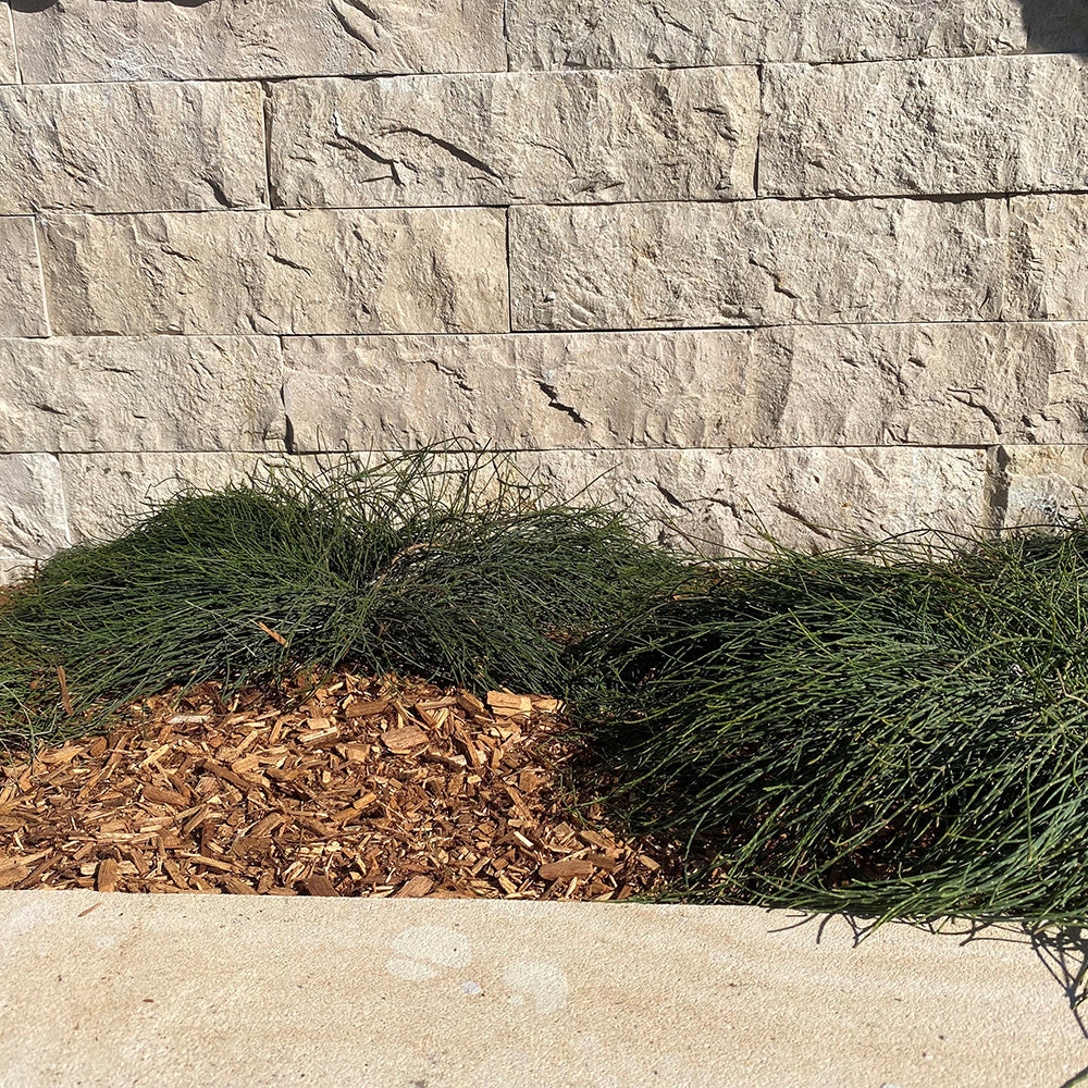 Sinai Pearl Limestone Splitface Cladding 400x100x20mm - 1st Quality - Wall - Available at iPave Natural Stone