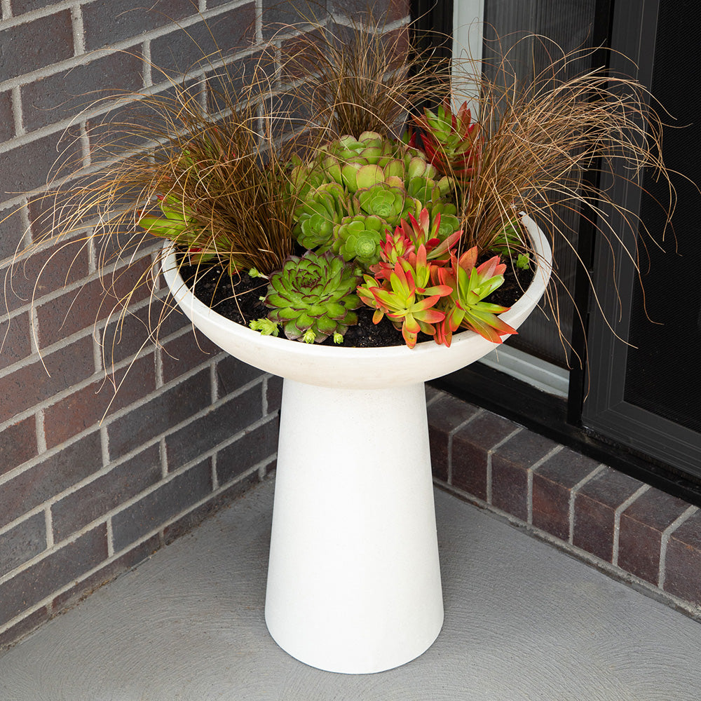 CementLITE Finch Bird Bath - White - Front Porch - Available at iPave Natural Stone