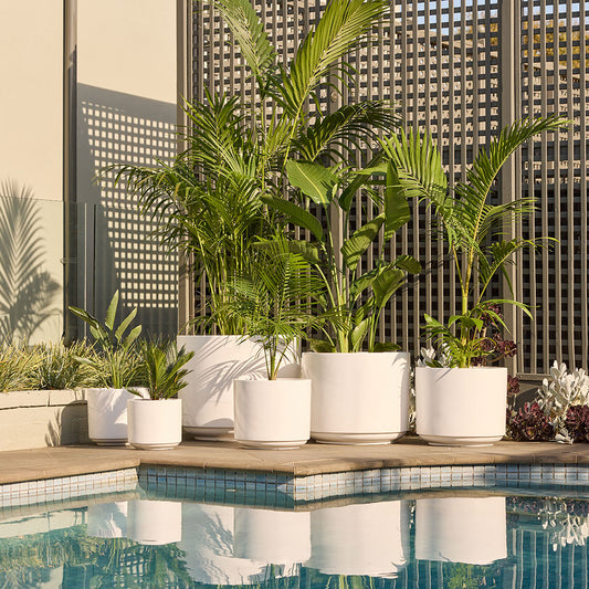 Modstone Fynn Planter Pot - Pure White - Available at iPave Natural Stone