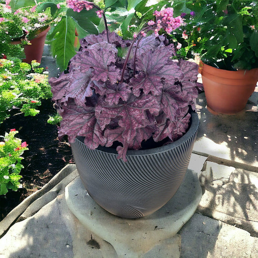 UrbanLITE Helix Egg Pot - Black - Garden Pot