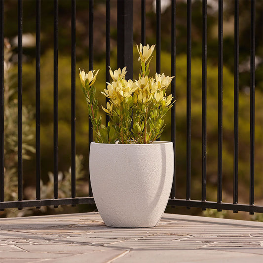 Modstone Montague Egg Pot - White Stone - Available at iPave Natural Stone